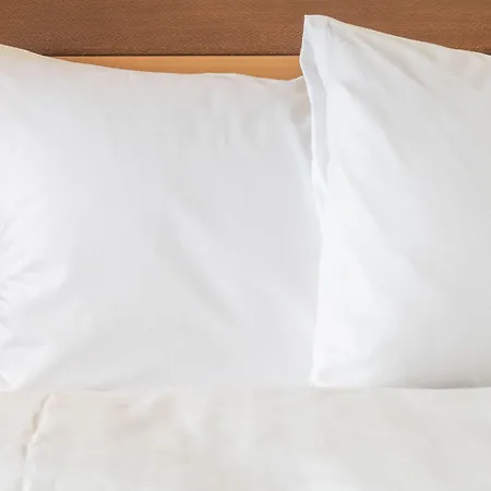 Hotel Crowne Plaza By Ihg 4*